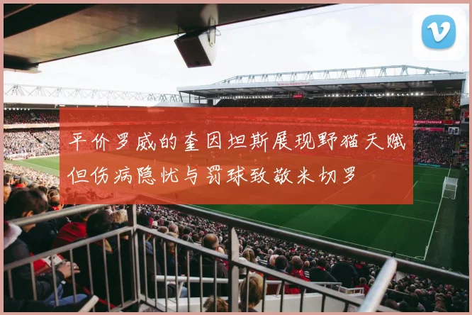 平价罗威的奎因坦斯展现野猫天赋但伤病隐忧与罚球致敬米切罗