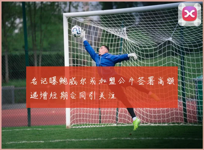 名记曝鲍威尔或加盟公牛签署高额递增短期合同引关注